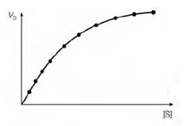 1186_Substrate and enzyme concentration.png